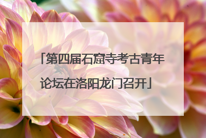 第四届石窟寺考古青年论坛在洛阳龙门召开