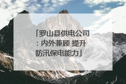 罗山县供电公司：内外兼顾 提升防汛保电能力