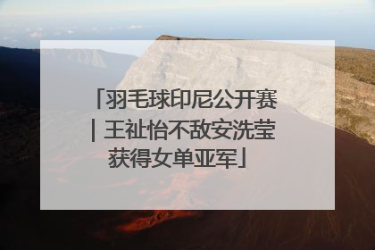 羽毛球印尼公开赛｜王祉怡不敌安洗莹 获得女单亚军