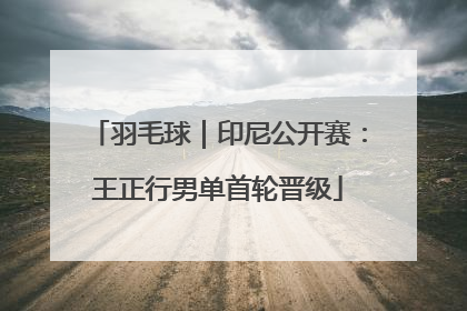 羽毛球｜印尼公开赛：王正行男单首轮晋级