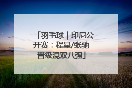 羽毛球｜印尼公开赛：程星/张驰晋级混双八强