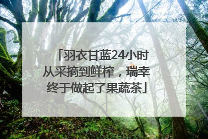 羽衣甘蓝24小时从采摘到鲜榨，瑞幸终于做起了果蔬茶