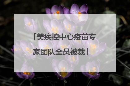 美疾控中心疫苗专家团队全员被裁