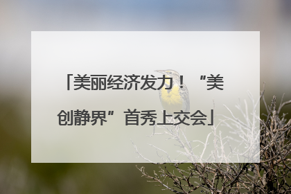 美丽经济发力！“美创静界”首秀上交会