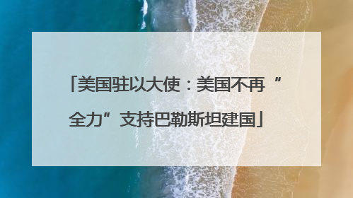 美国驻以大使：美国不再“全力”支持巴勒斯坦建国