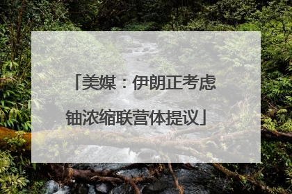 美媒：伊朗正考虑铀浓缩联营体提议