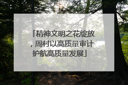 精神文明之花绽放，周村以高质量审计护航高质量发展