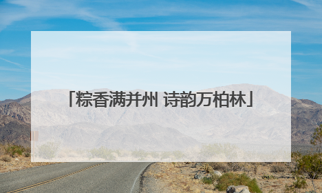 粽香满并州 诗韵万柏林