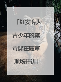 红安专为青少年的禁毒课在庭审现场开讲