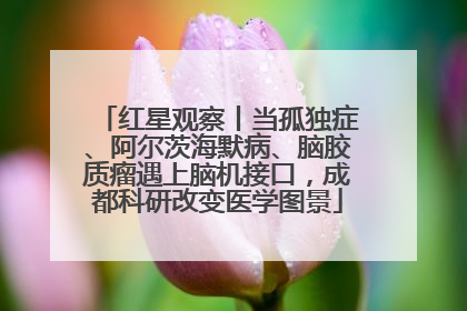 红星观察丨当孤独症、阿尔茨海默病、脑胶质瘤遇上脑机接口，成都科研改变医学图景