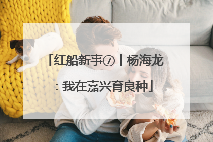 红船新事⑦丨杨海龙：我在嘉兴育良种