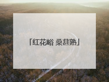 红花峪 桑葚熟
