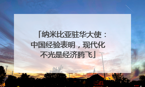 纳米比亚驻华大使：中国经验表明，现代化不光是经济腾飞