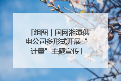组图｜国网湘潭供电公司多形式开展“计量”主题宣传
