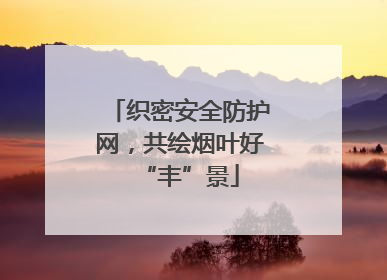织密安全防护网，共绘烟叶好“丰”景