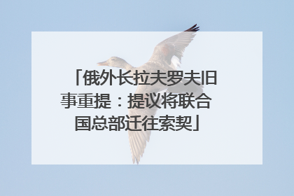俄外长拉夫罗夫旧事重提：提议将联合国总部迁往索契