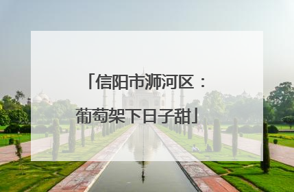 信阳市浉河区：葡萄架下日子甜