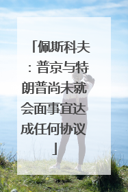佩斯科夫：普京与特朗普尚未就会面事宜达成任何协议
