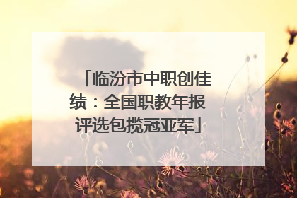 临汾市中职创佳绩：全国职教年报评选包揽冠亚军