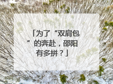为了“双肩包”的奔赴，邵阳有多拼？