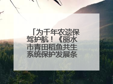 为千年农遗保驾护航！《丽水市青田稻鱼共生系统保护发展条例》正式施行
