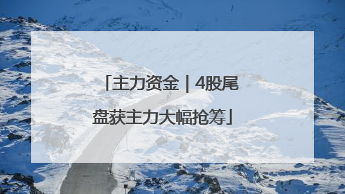 主力资金｜4股尾盘获主力大幅抢筹