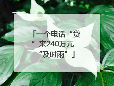 一个电话“贷”来240万元“及时雨”