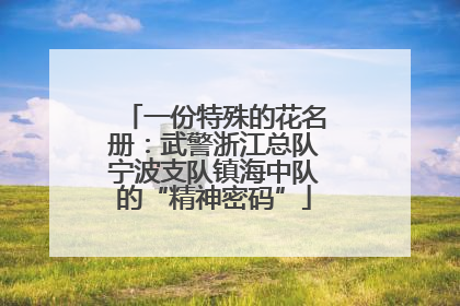 一份特殊的花名册：武警浙江总队宁波支队镇海中队的“精神密码”