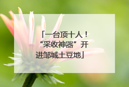 一台顶十人！“采收神器”开进邹城土豆地