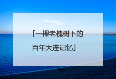 一棵老槐树下的百年大连记忆