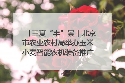 三夏“丰”景｜北京市农业农村局举办玉米小麦智能农机装备推广“田间日”活动
