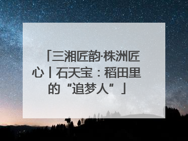 三湘匠韵·株洲匠心丨石天宝：稻田里的“追梦人”