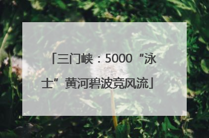 三门峡：5000“泳士”黄河碧波竞风流