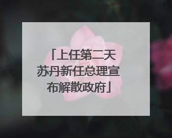 上任第二天 苏丹新任总理宣布解散政府