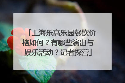 上海乐高乐园餐饮价格如何？有哪些演出与娱乐活动？记者探营