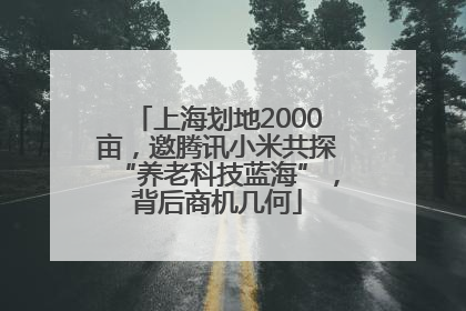 上海划地2000亩，邀腾讯小米共探“养老科技蓝海”，背后商机几何
