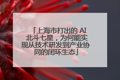 上海市打出的 AI 北斗七星，为何能实现从技术研发到产业协同的闭环生态