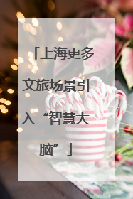 上海更多文旅场景引入“智慧大脑”