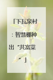 下瓦泉村：智慧棚种出“共富菜”