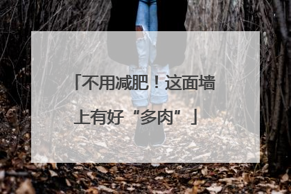 不用减肥！这面墙上有好“多肉”