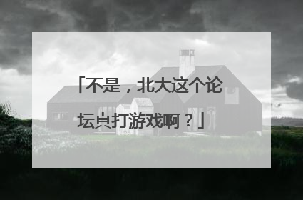 不是，北大这个论坛真打游戏啊？