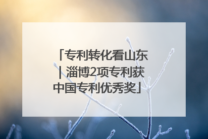 专利转化看山东｜淄博2项专利获中国专利优秀奖