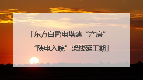 东方白鹳电塔建“产房” “陕电入皖”架线延工期