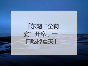 东湖“全荷宴”开席，一口吃掉夏天