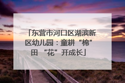 东营市河口区湖滨新区幼儿园：童耕“棉”田 “花”开成长