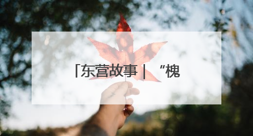 东营故事｜“槐林二奶奶”的“土潮”出圈密码