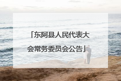 东阿县人民代表大会常务委员会公告