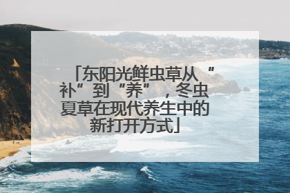 东阳光鲜虫草从“补”到“养”，冬虫夏草在现代养生中的新打开方式
