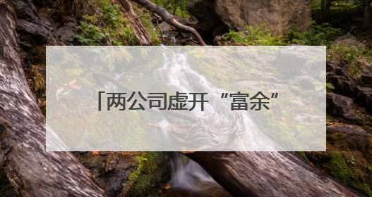 两公司虚开“富余”发票，各罚50万！