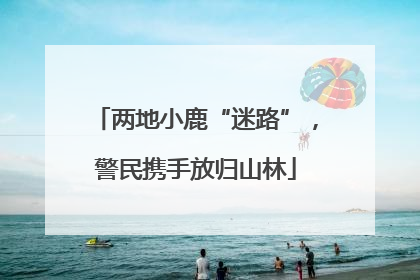 两地小鹿“迷路”，警民携手放归山林